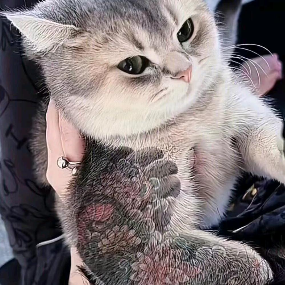 secular bird(航诚科技)