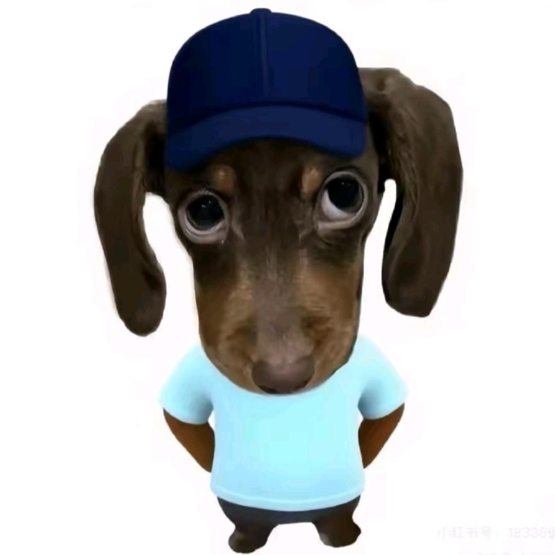 超爱笑笑笑～🤪