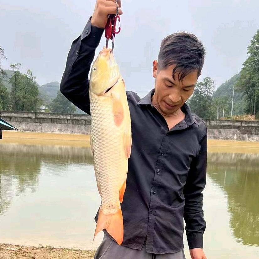 又菜🎣又爱玩