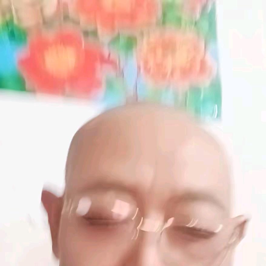 宋正怀二胎J