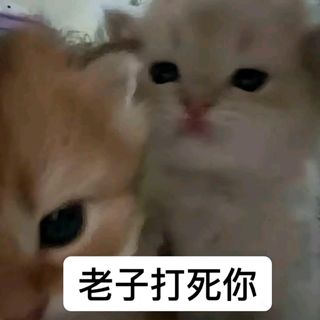 悲伤虾滑蛋