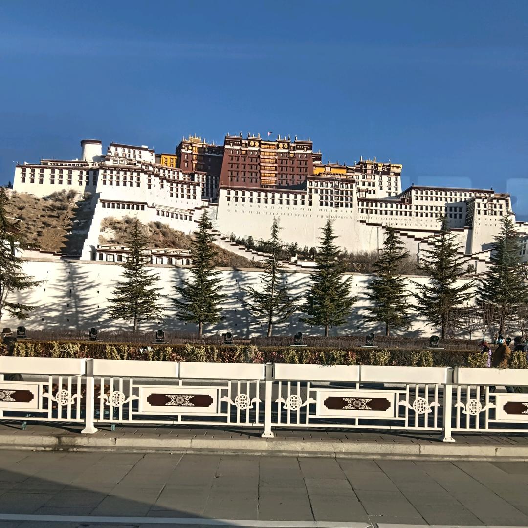 一株莲花