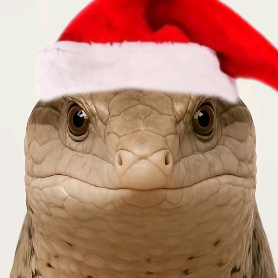 狗修金（桑克瑞德的大凶兆）