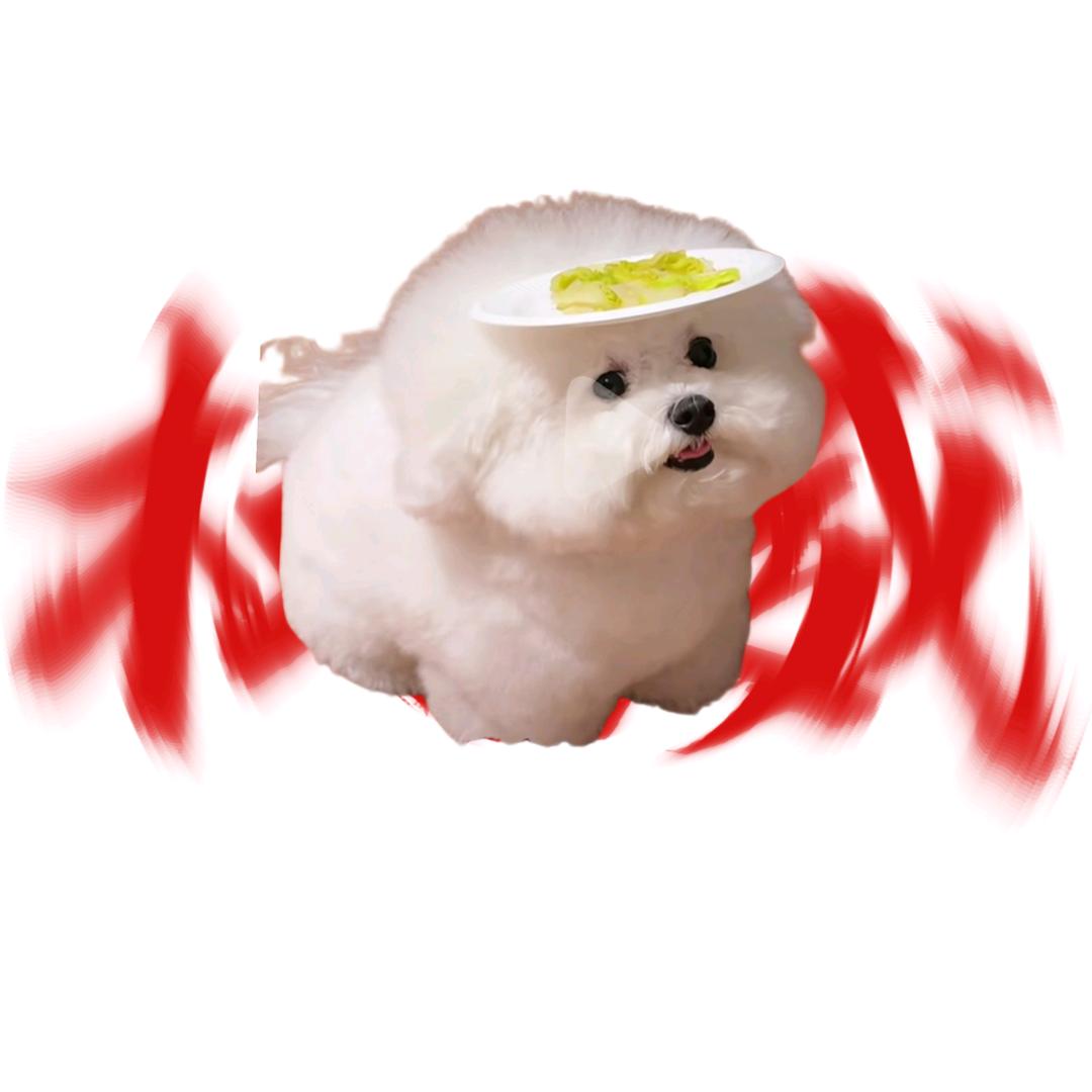 邪恶摇粒绒
