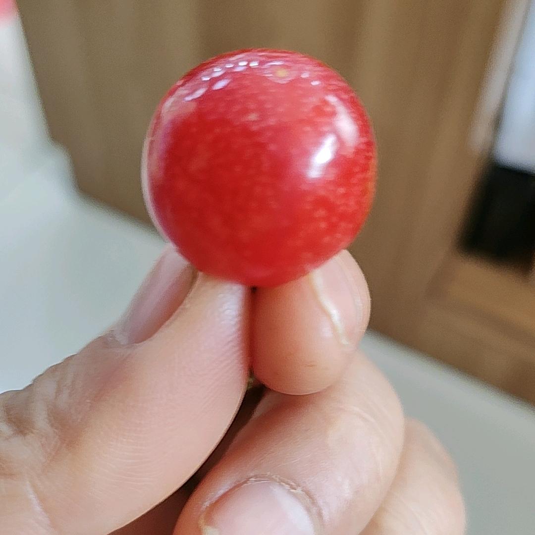 成长的岁月