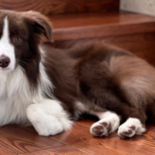 梅花三弄i三：..↖.