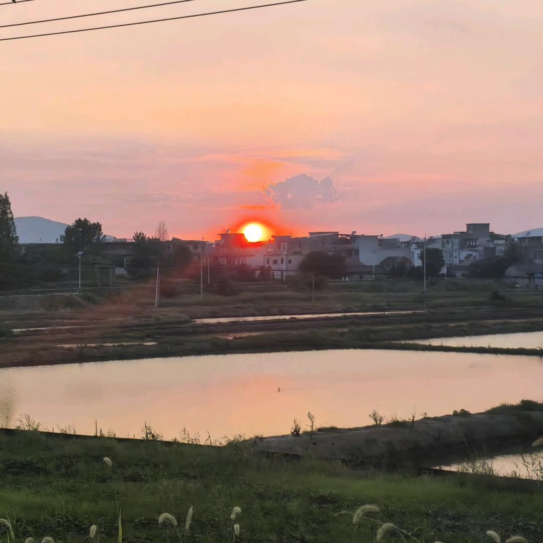 招财进宝