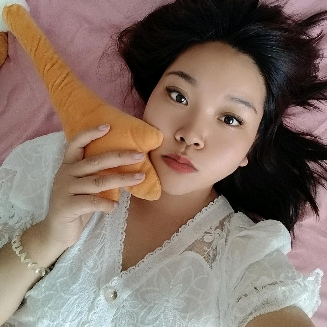 鸽子