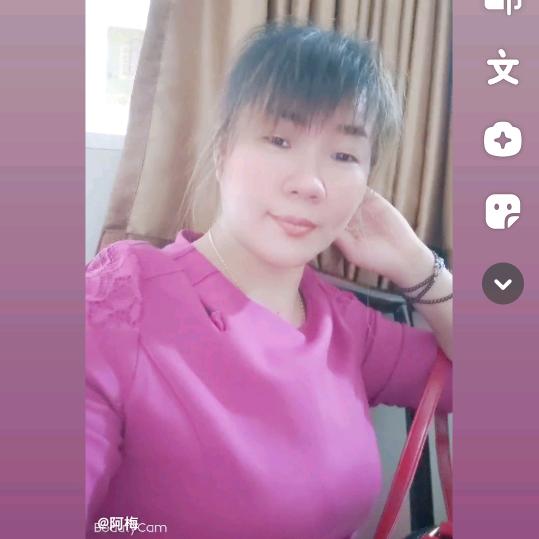 梦中的蝴蝶