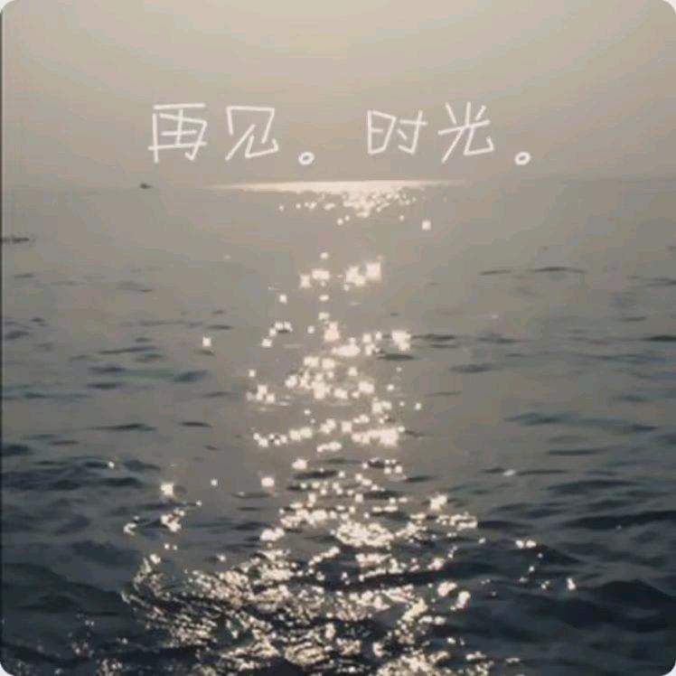 落叶追秋枫