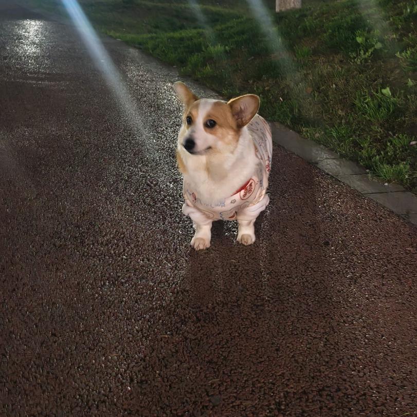 紫薇格格