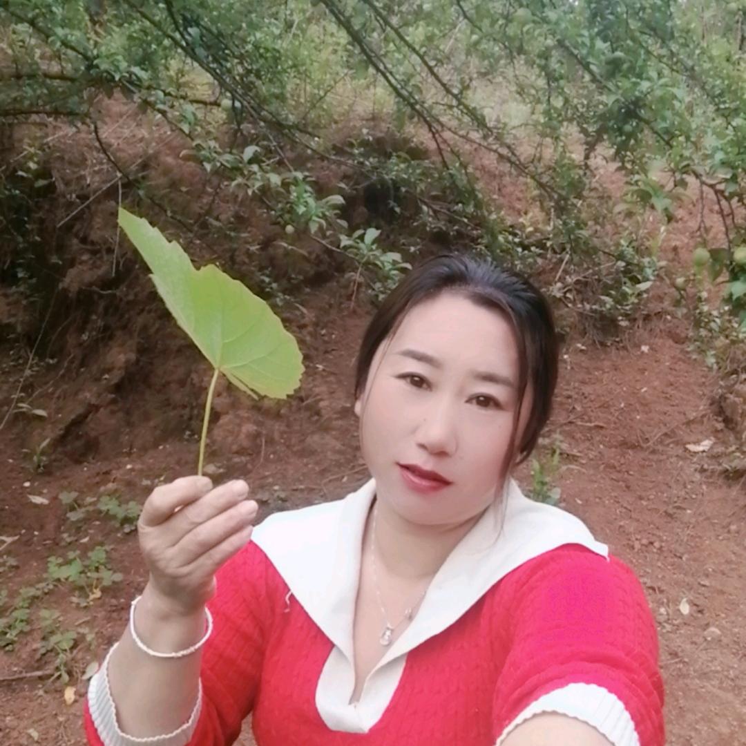 我的心好累