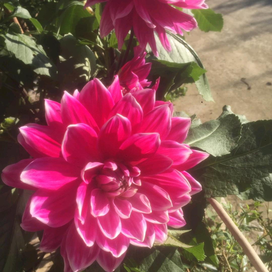 禹谟杰哥烤肉店