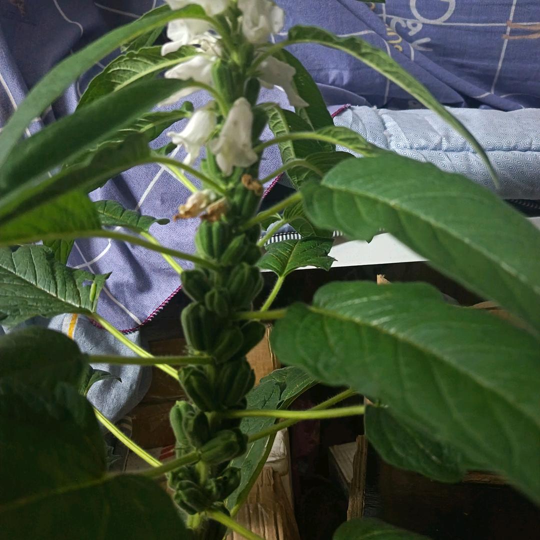 天知，地知，我知，