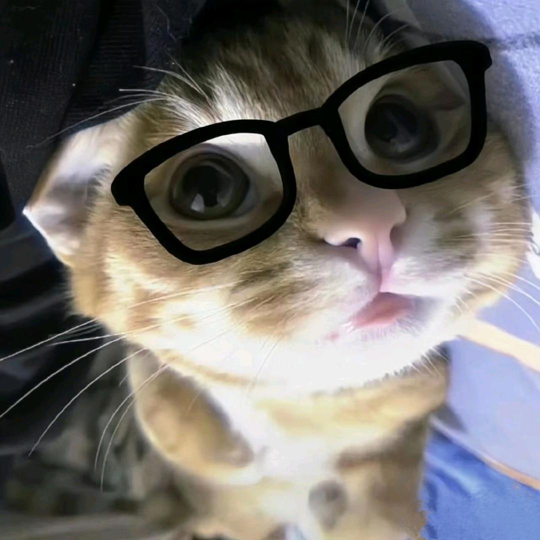 张洋逸