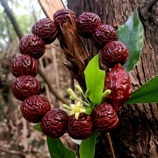 拾伍🌱