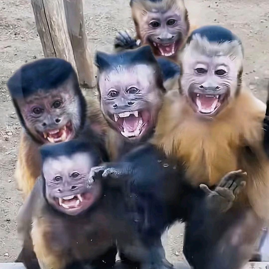 ，，，，，，，