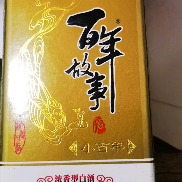 扬帆起航