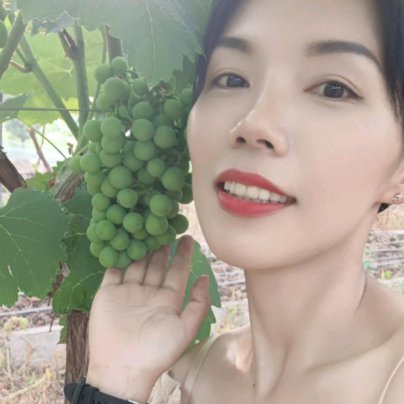 豆腐居然没有脑
