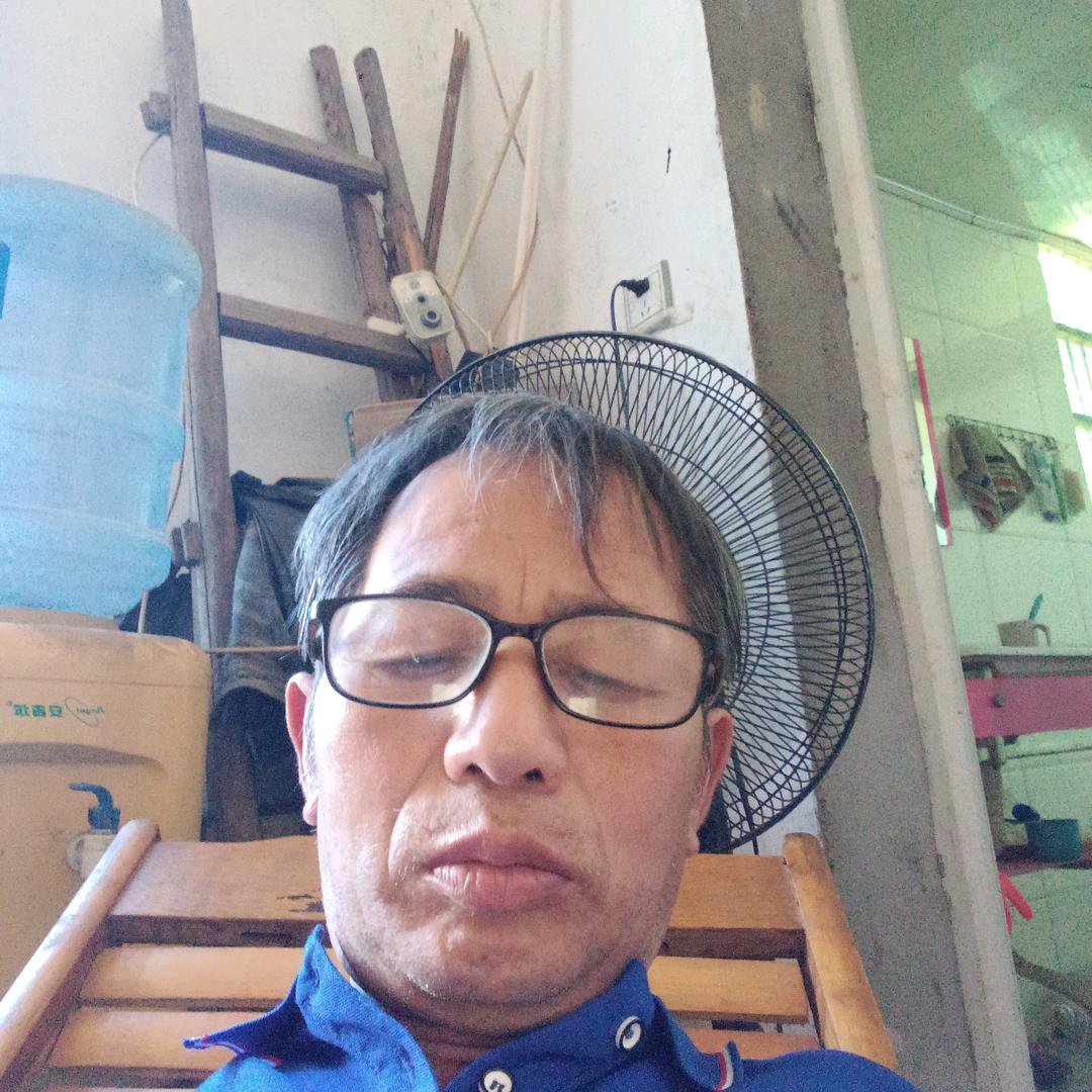 金哥