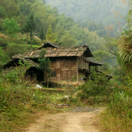 空山悟蝉