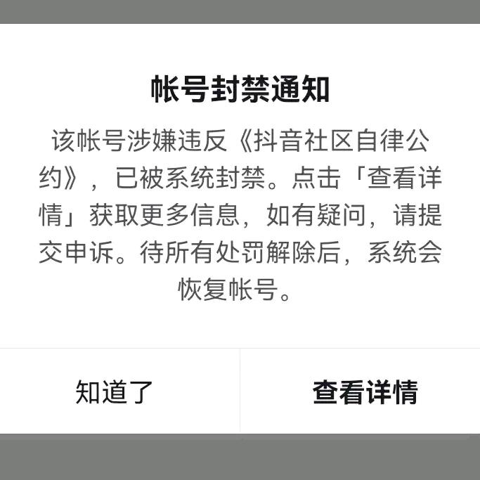真心哥