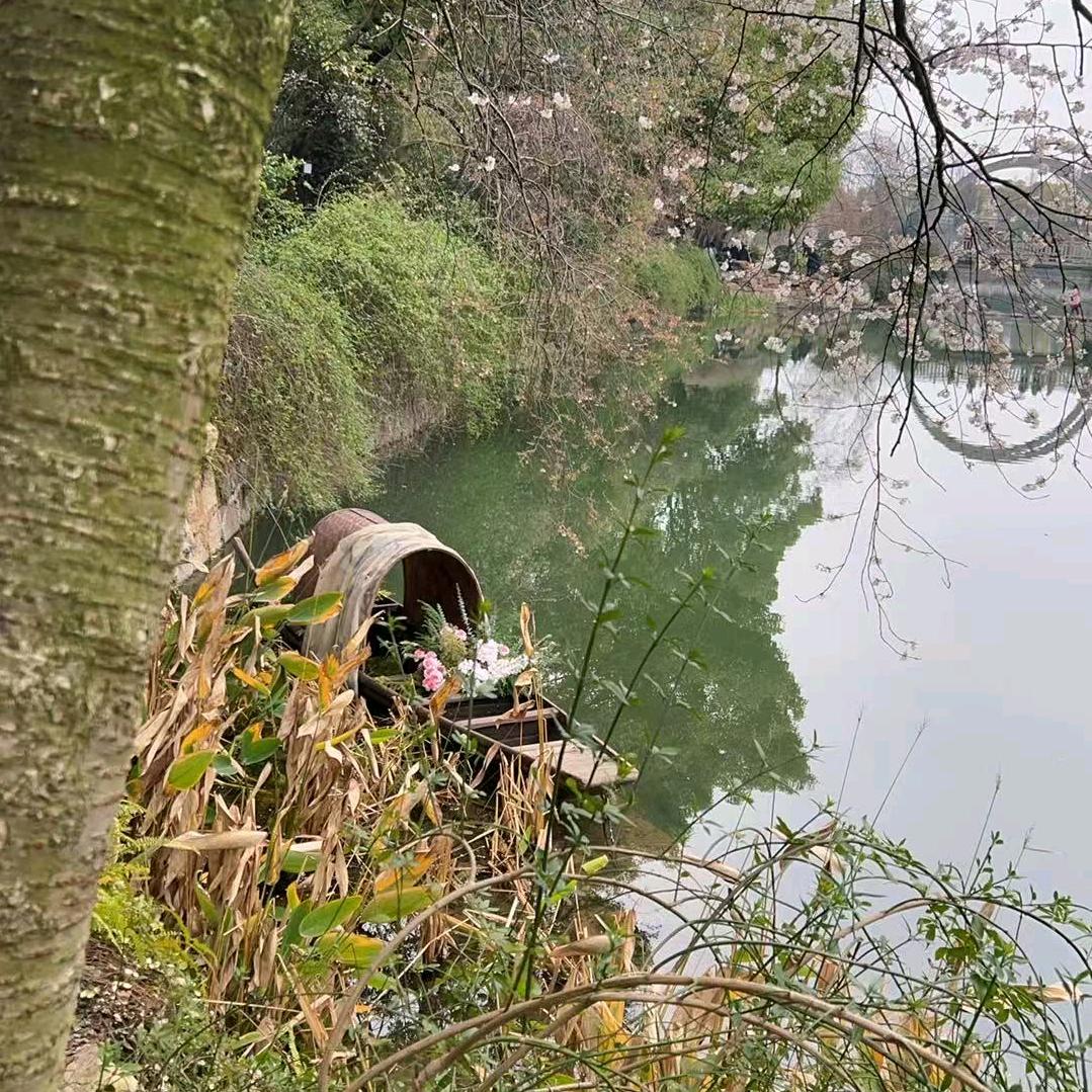 迷失的方向