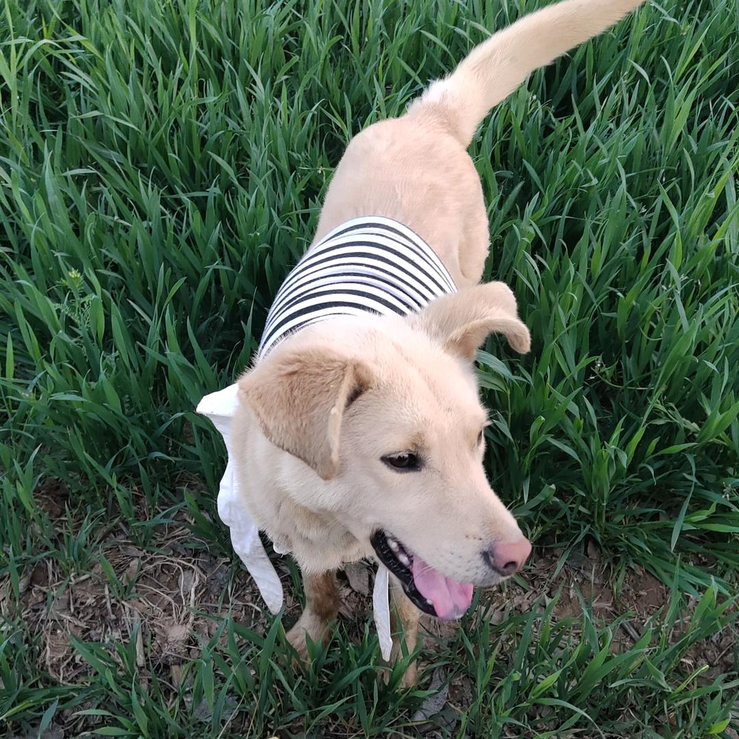 🌈小鑫茹🙈️