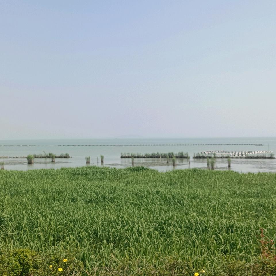 坏坏丫
