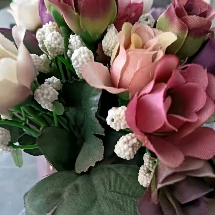 贵州，人才哥，杨