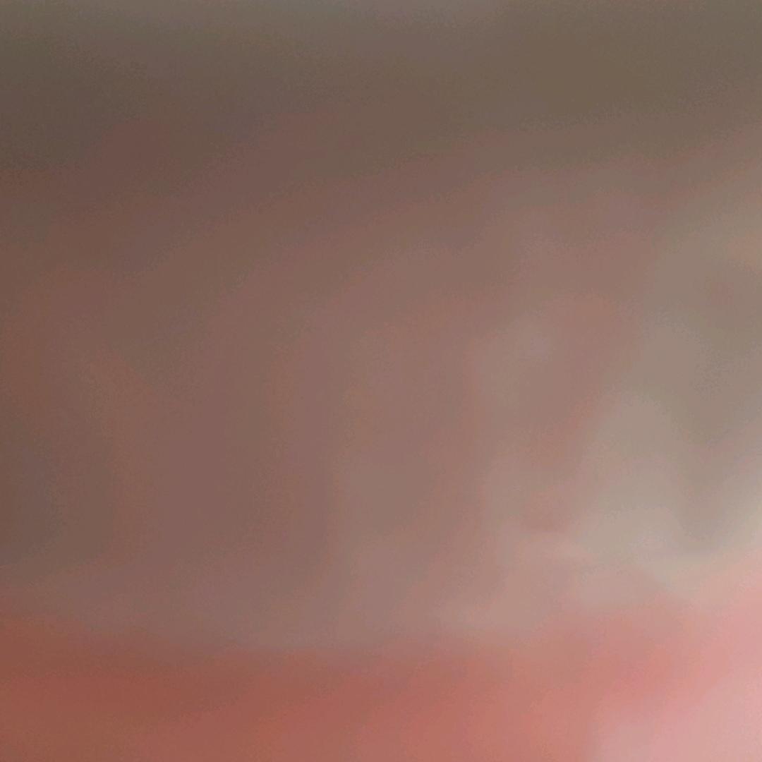 午后茶香