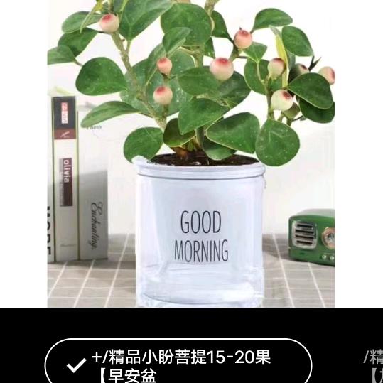西北狼