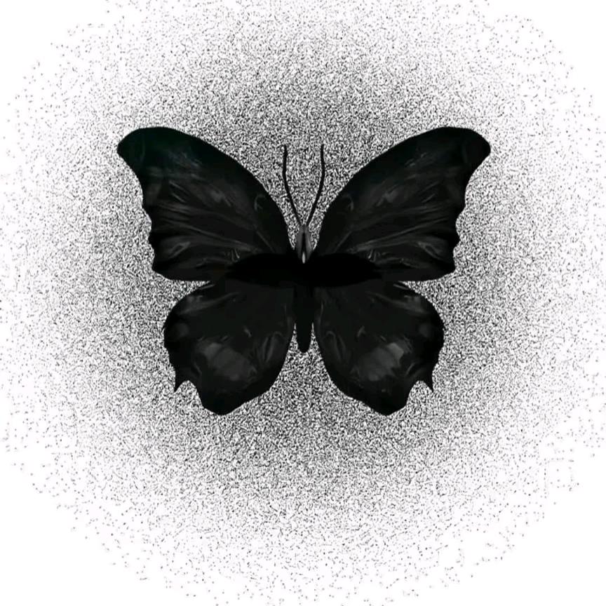黑  蝴蝶🦋