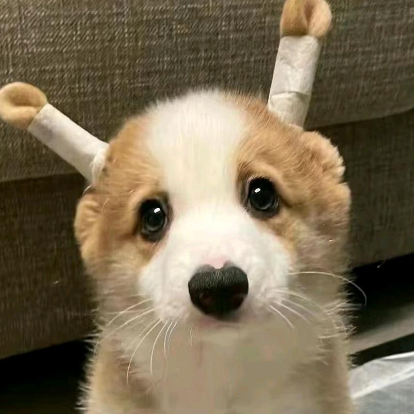 🎊