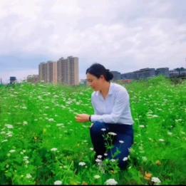 衡阳房产刘美莲