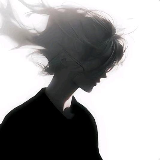 王者荣耀 . 阿辉