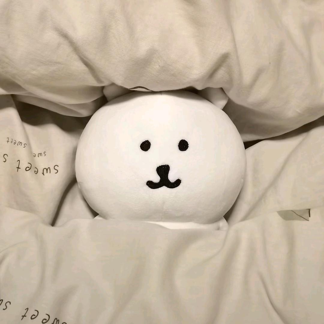 花生碎