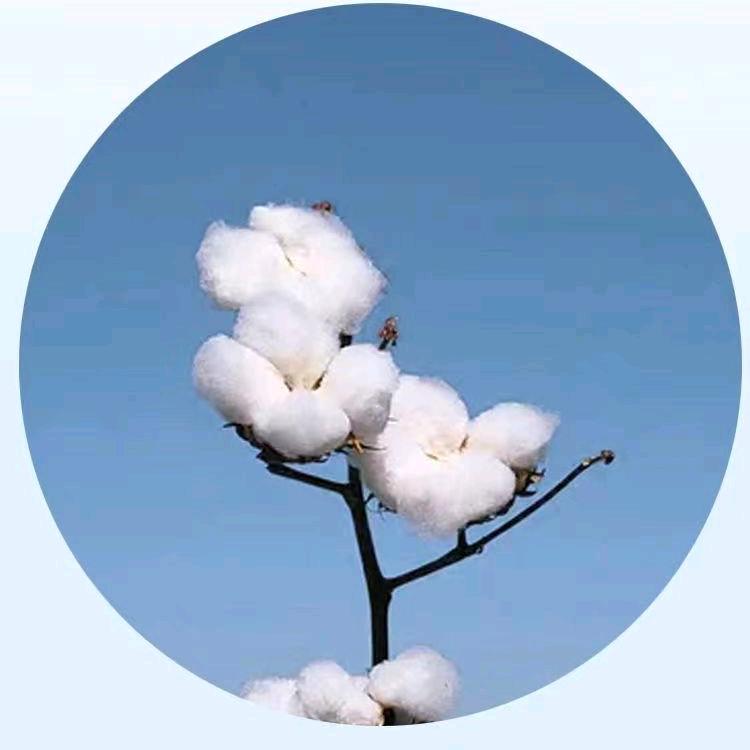 一粒沙