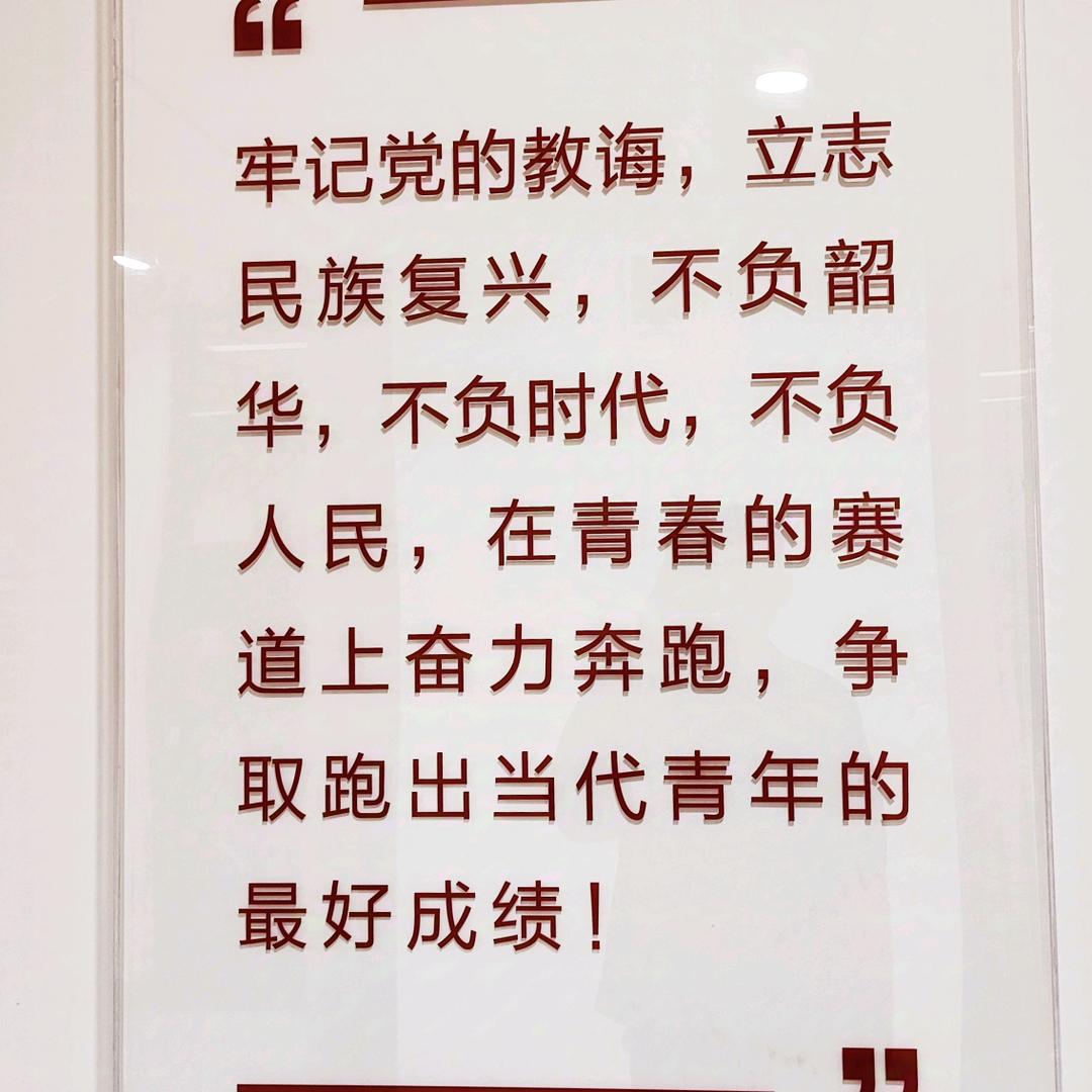 用户8626611326457