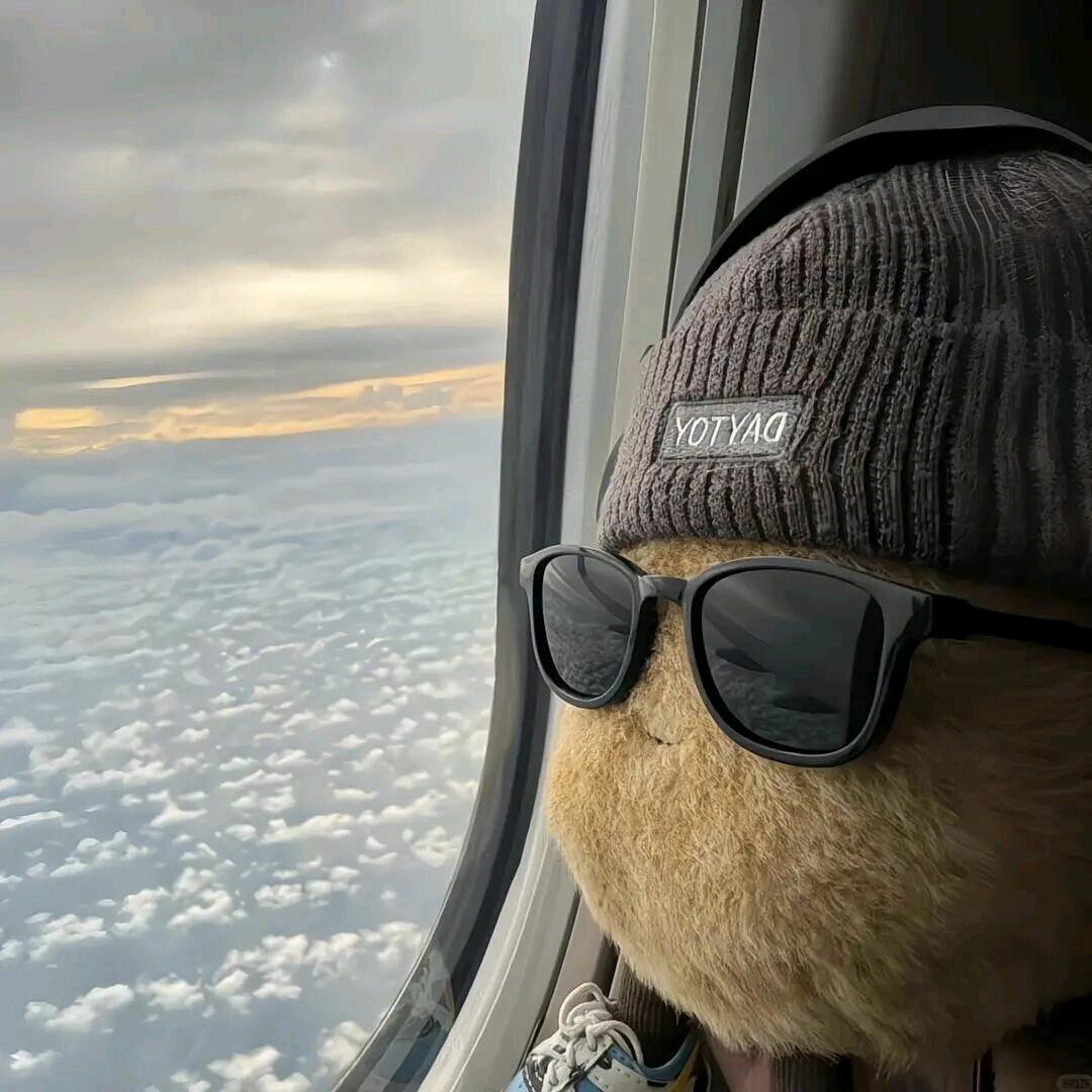 秋日眠眠