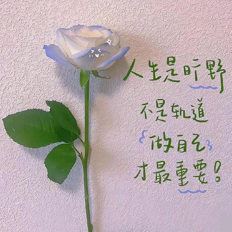 一吻红尘