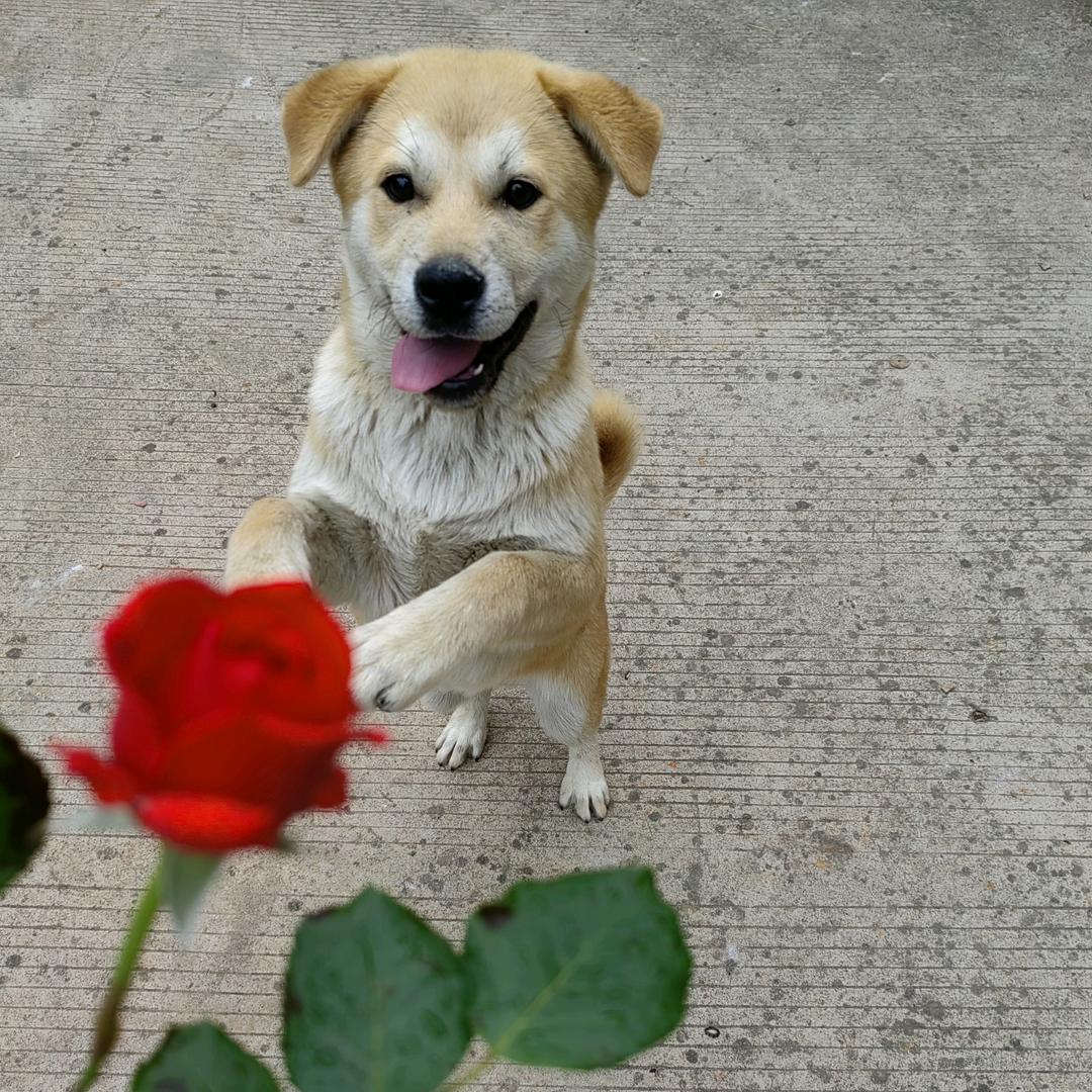 幸运小黄🤞