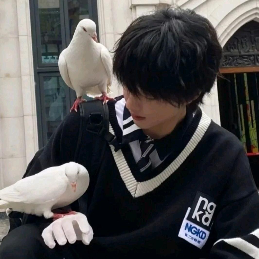 慕晨