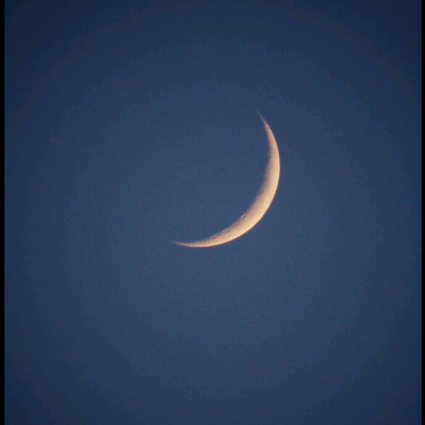 松月moon