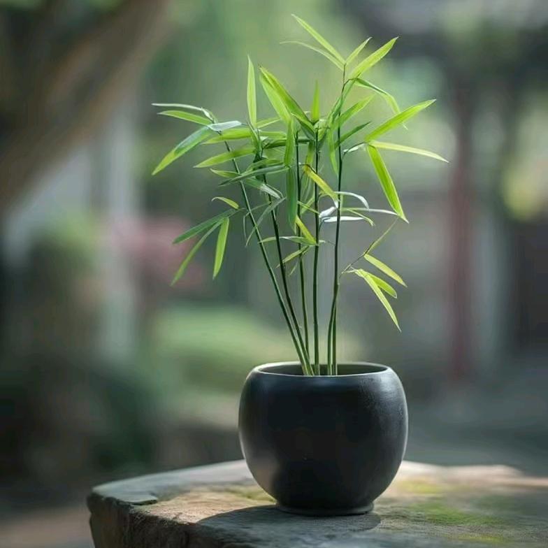 遇见未来的自己