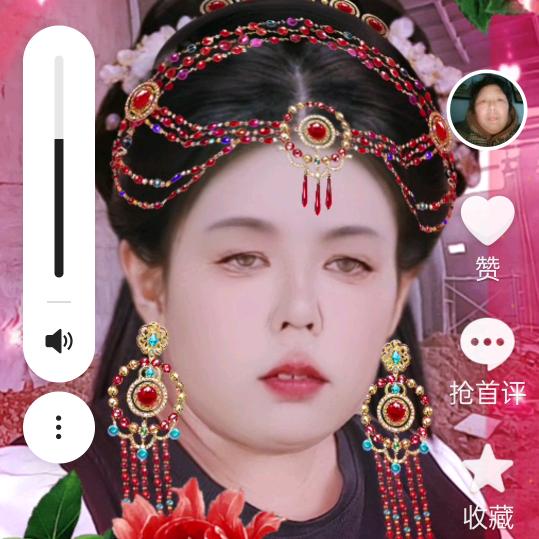 所有人小花猫