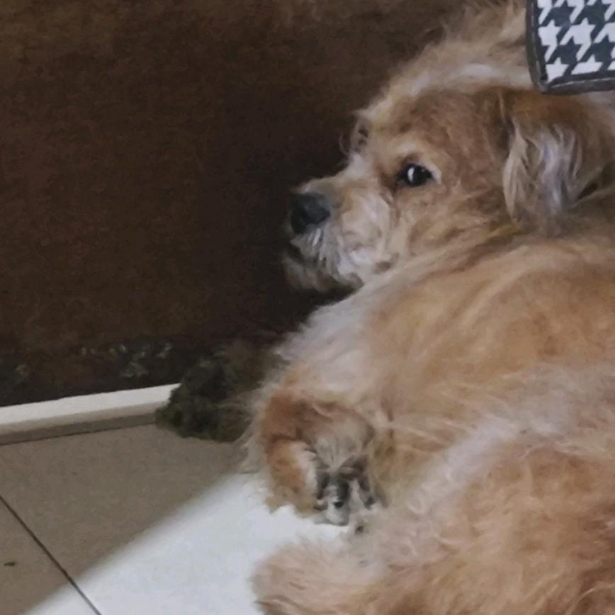 离别是一门必修课