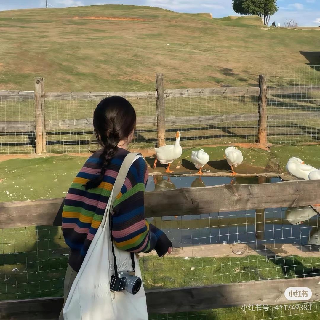 ෆ半岛茶