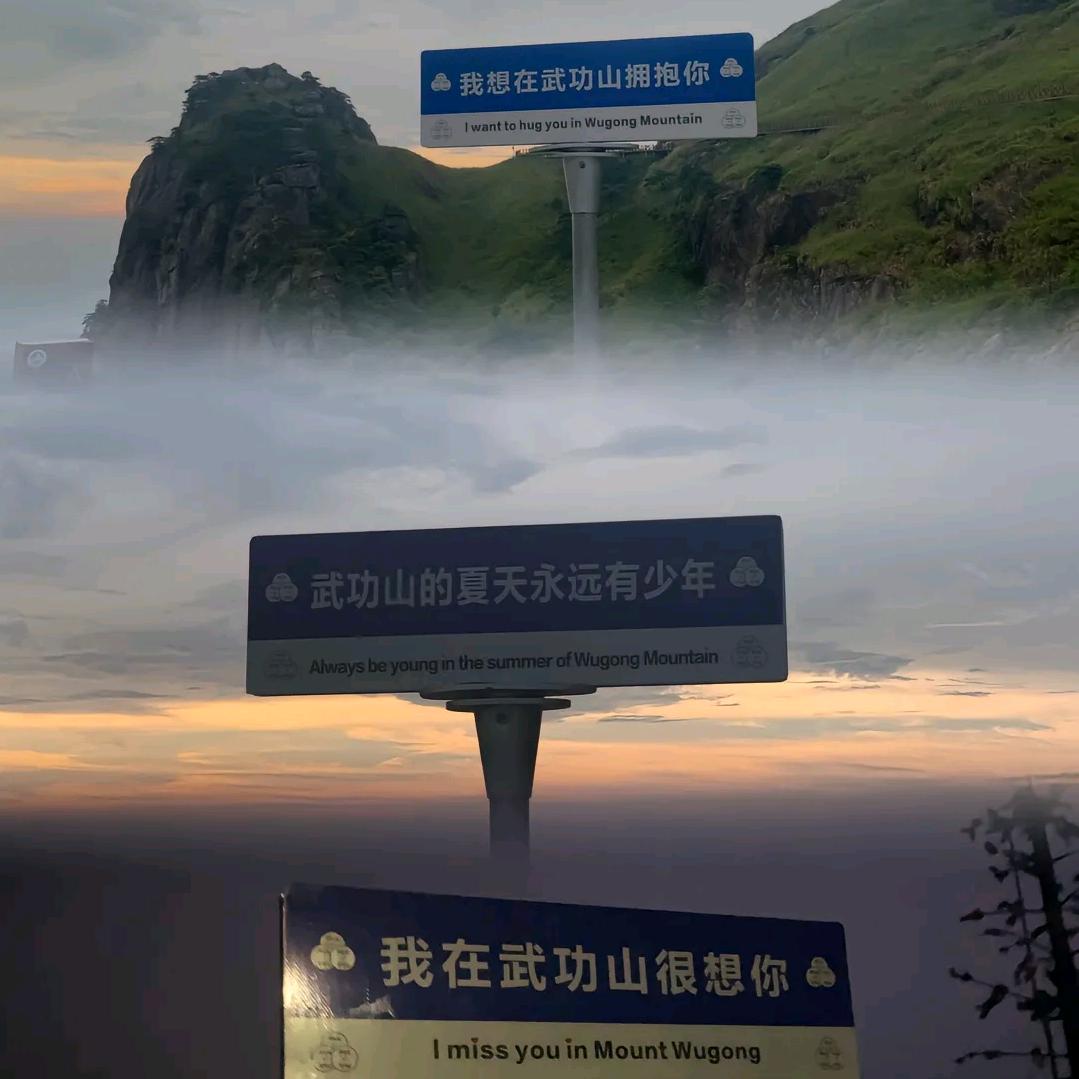 王梓爱轮滑⛸️ 台球🎱 鲜花🌹