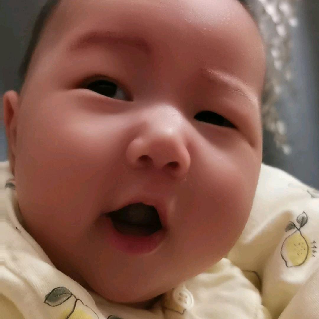 奶油小可爱成长中